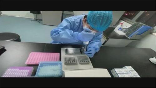 测核酸视频,视频带你了解操作流程与注意事项
